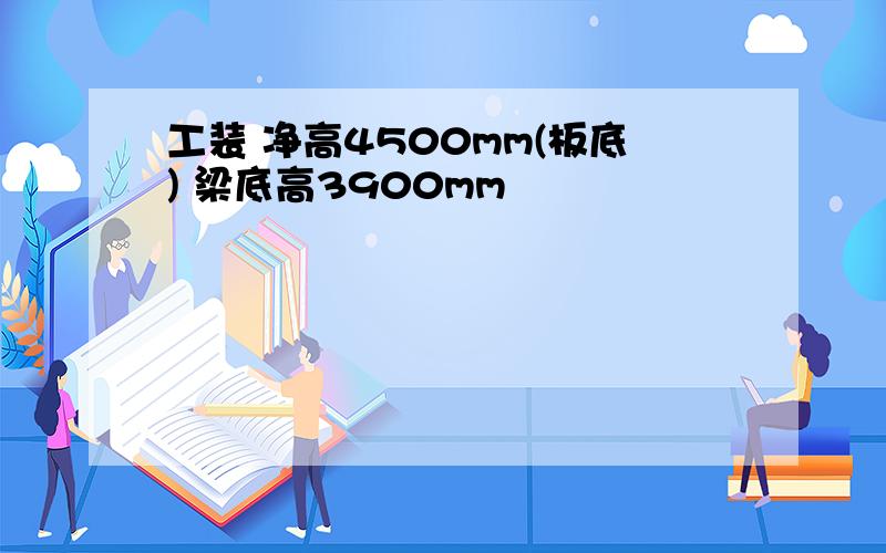 工装 净高4500mm(板底) 梁底高3900mm