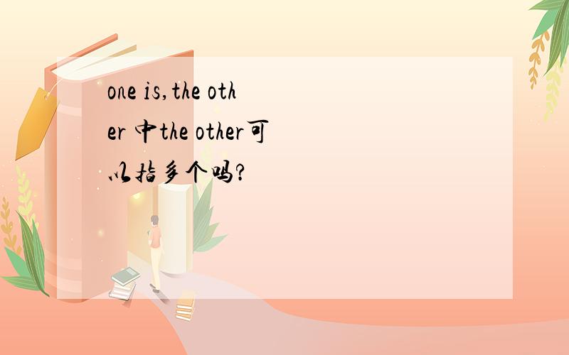 one is,the other 中the other可以指多个吗?