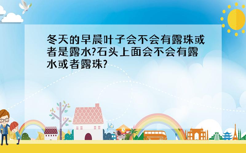 冬天的早晨叶子会不会有露珠或者是露水?石头上面会不会有露水或者露珠?