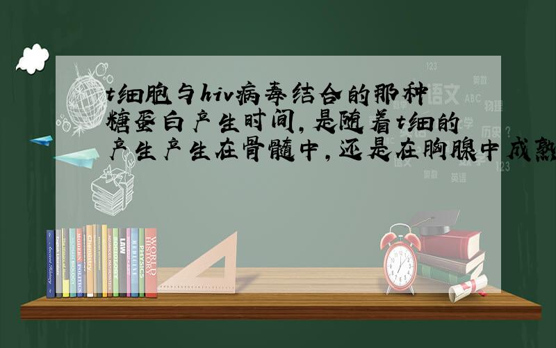 t细胞与hiv病毒结合的那种糖蛋白产生时间,是随着t细的产生产生在骨髓中,还是在胸腺中成熟时产生?