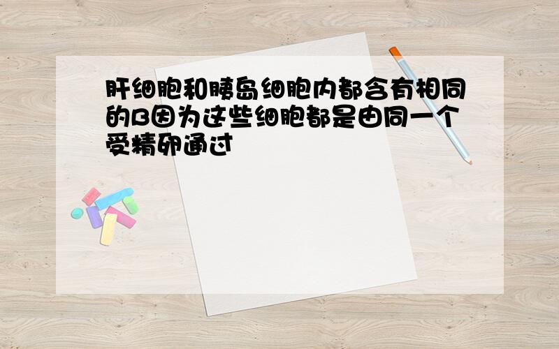 肝细胞和胰岛细胞内都含有相同的B因为这些细胞都是由同一个受精卵通过