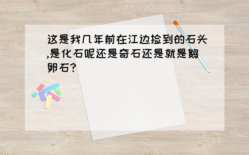 这是我几年前在江边捡到的石头,是化石呢还是奇石还是就是鹅卵石?