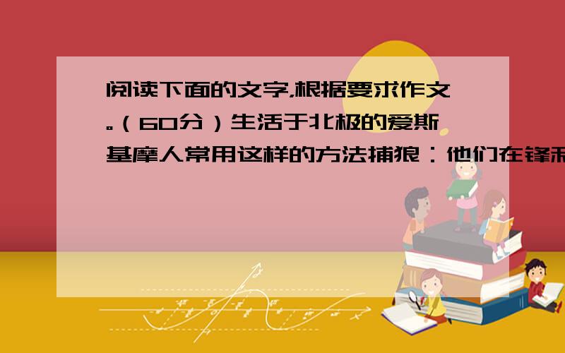 阅读下面的文字，根据要求作文。（60分）生活于北极的爱斯基摩人常用这样的方法捕狼：他们在锋利的刀刃上