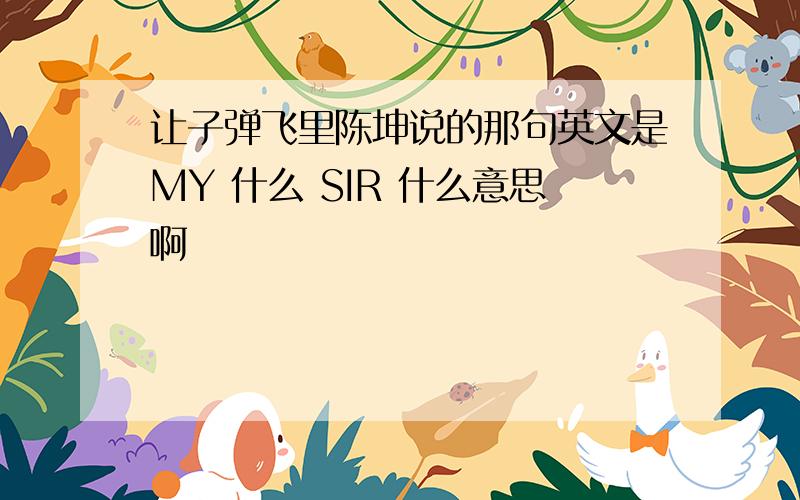 让子弹飞里陈坤说的那句英文是MY 什么 SIR 什么意思啊