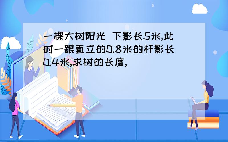 一棵大树阳光 下影长5米,此时一跟直立的0.8米的杆影长0.4米,求树的长度,