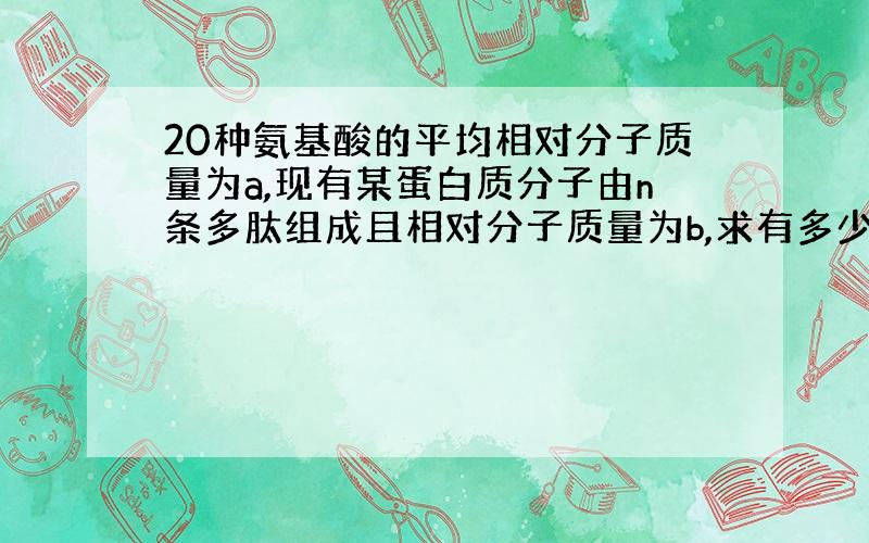 20种氨基酸的平均相对分子质量为a,现有某蛋白质分子由n条多肽组成且相对分子质量为b,求有多少个肽键