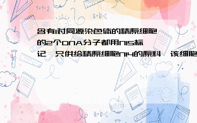 含有1对同源染色体的精原细胞的2个DNA分子都用N15标记,只供给精原细胞N14的原料,该细胞进行1次有丝分裂后再减数分