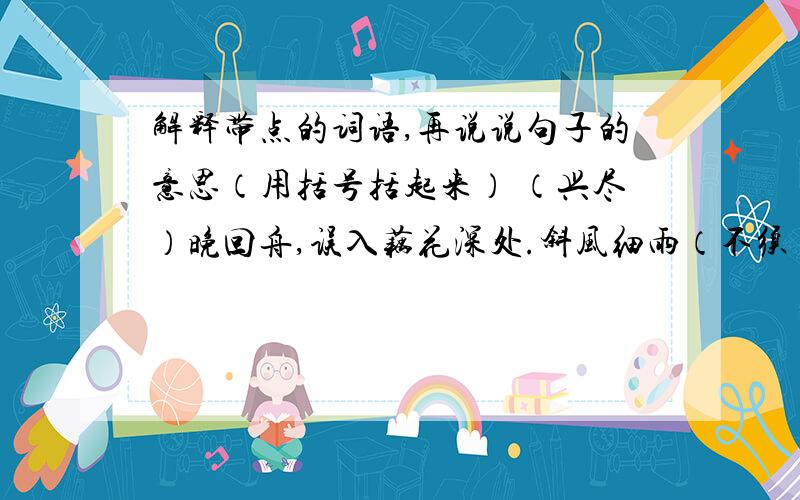 解释带点的词语,再说说句子的意思（用括号括起来） （兴尽）晚回舟,误入藕花深处.斜风细雨（不须）归