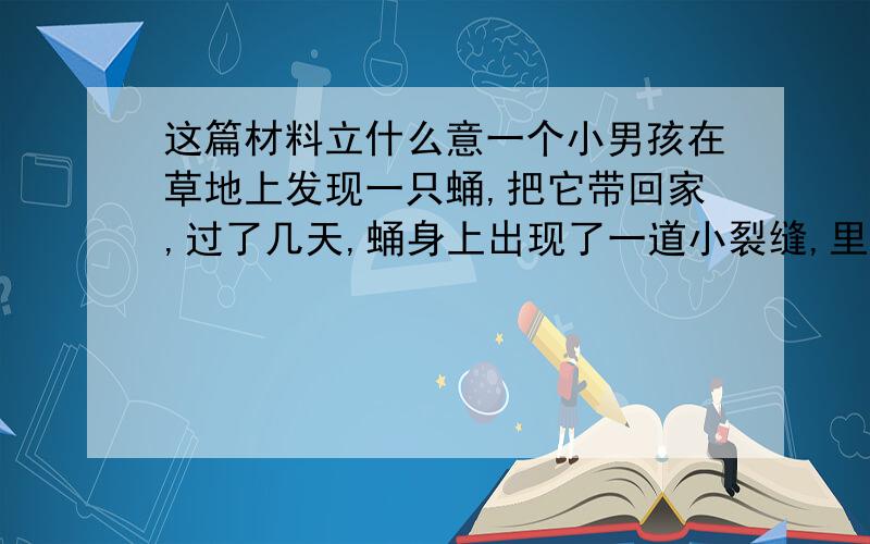 这篇材料立什么意一个小男孩在草地上发现一只蛹,把它带回家,过了几天,蛹身上出现了一道小裂缝,里面的蝴蝶挣扎了好几个小时,