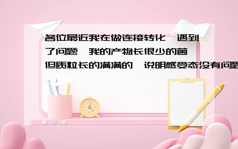 各位最近我在做连接转化,遇到了问题,我的产物长很少的菌,但质粒长的满满的,说明感受态没有问题