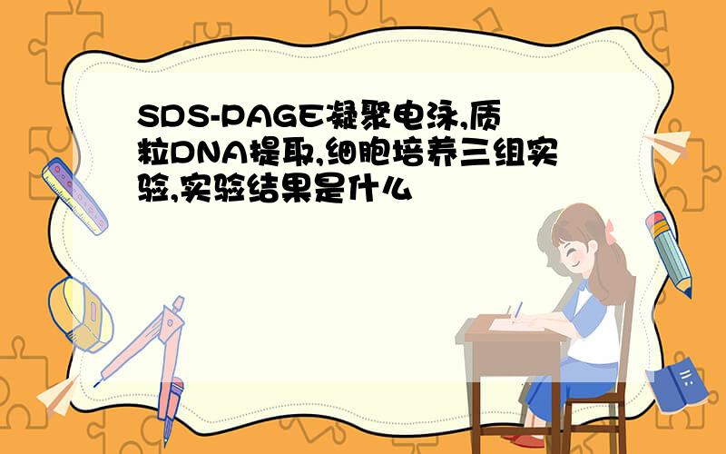 SDS-PAGE凝聚电泳,质粒DNA提取,细胞培养三组实验,实验结果是什么