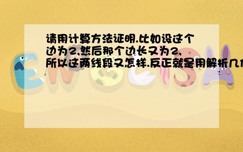 请用计算方法证明.比如设这个边为2,然后那个边长又为2,所以这两线段又怎样.反正就是用解析几何的角度证明这种感觉.补充个