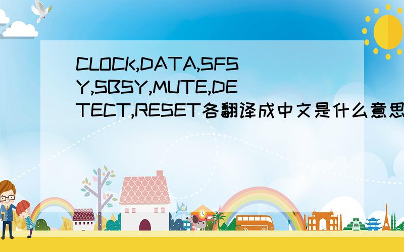 CLOCK,DATA,SFSY,SBSY,MUTE,DETECT,RESET各翻译成中文是什么意思?