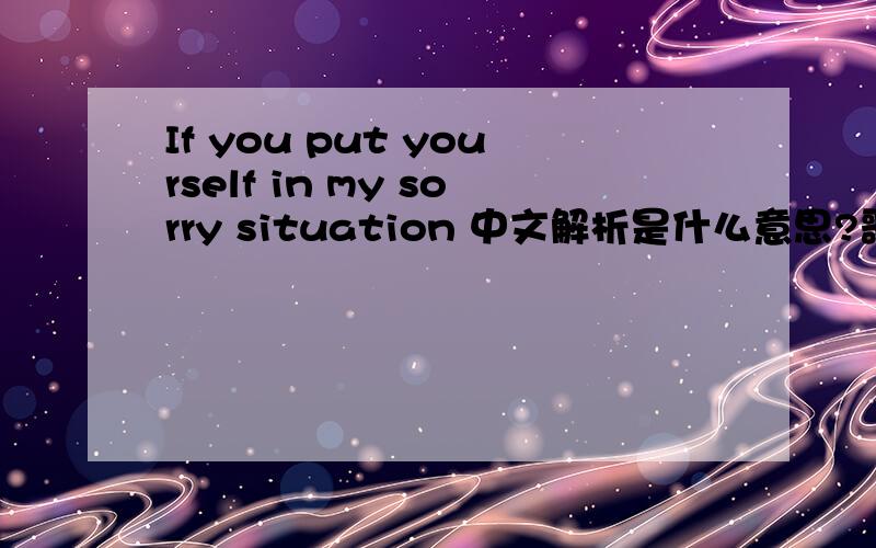 If you put yourself in my sorry situation 中文解析是什么意思?歌词来的.