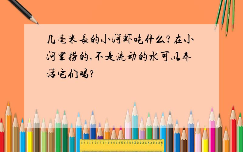 几毫米长的小河虾吃什么?在小河里捞的,不是流动的水可以养活它们吗?