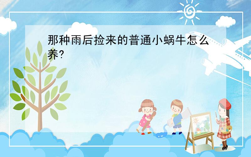 那种雨后捡来的普通小蜗牛怎么养?