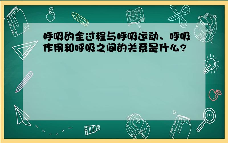 呼吸的全过程与呼吸运动、呼吸作用和呼吸之间的关系是什么?