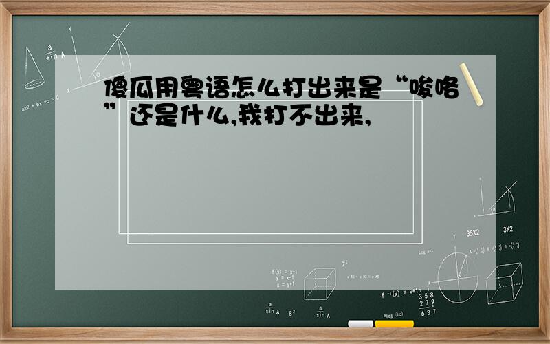 傻瓜用粤语怎么打出来是“唆咯”还是什么,我打不出来,