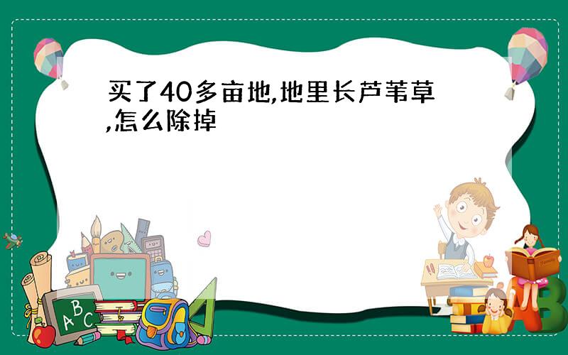 买了40多亩地,地里长芦苇草,怎么除掉