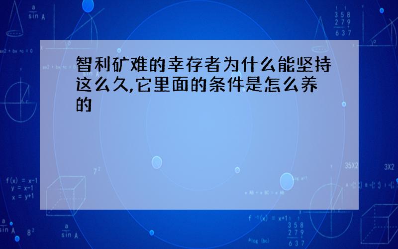 智利矿难的幸存者为什么能坚持这么久,它里面的条件是怎么养的