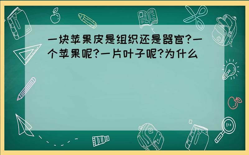 一块苹果皮是组织还是器官?一个苹果呢?一片叶子呢?为什么