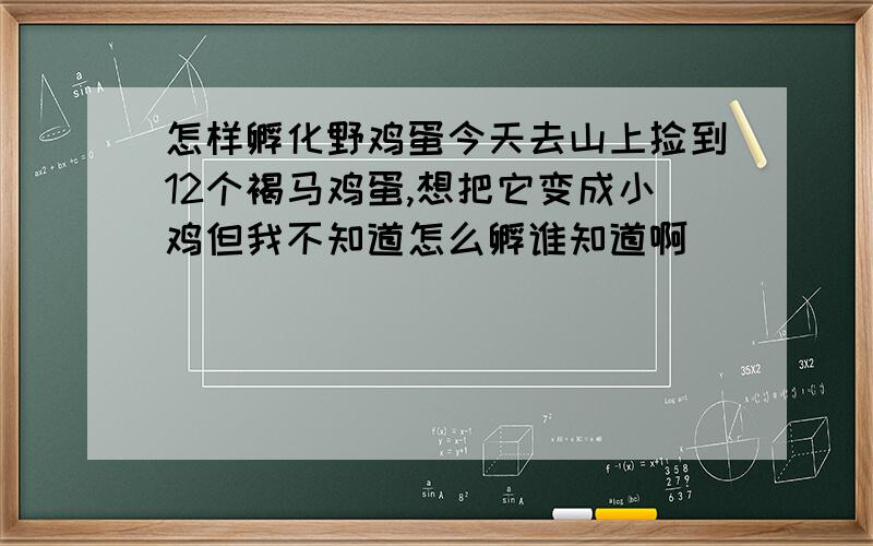 怎样孵化野鸡蛋今天去山上捡到12个褐马鸡蛋,想把它变成小鸡但我不知道怎么孵谁知道啊