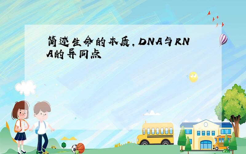 简述生命的本质,DNA与RNA的异同点