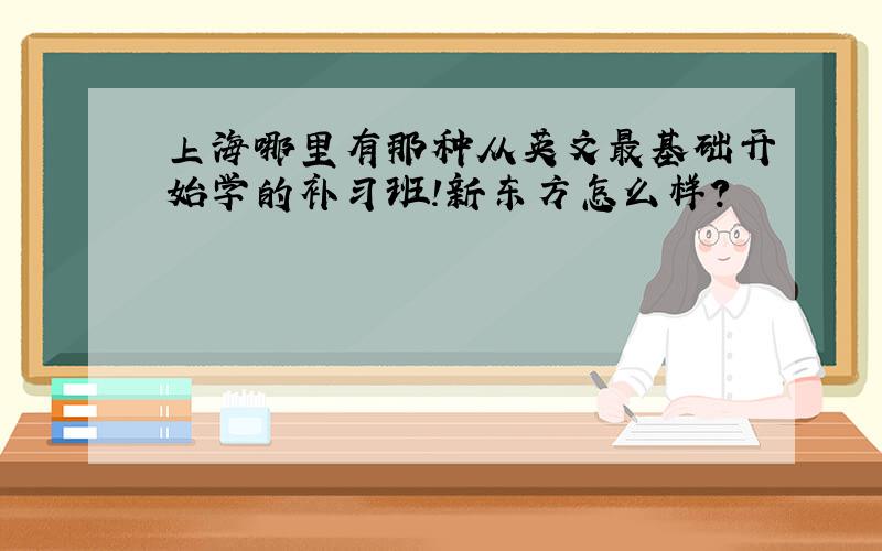 上海哪里有那种从英文最基础开始学的补习班!新东方怎么样?