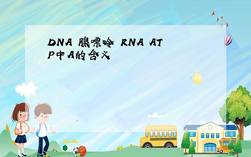 DNA 腺嘌呤 RNA ATP中A的含义