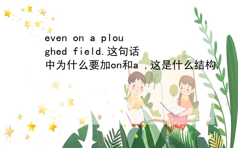 even on a ploughed field.这句话中为什么要加on和a ,这是什么结构,