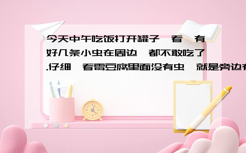 今天中午吃饭打开罐子一看,有好几条小虫在周边,都不敢吃了.仔细一看霉豆腐里面没有虫,就是旁边有.请问这霉豆腐还能吃吗?怎