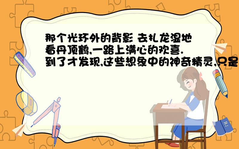 那个光环外的背影 去扎龙湿地看丹顶鹤,一路上满心的欢喜.到了才发现,这些想象中的神奇精灵,只是一只只瘦脚伶仃的囚鸟.它们