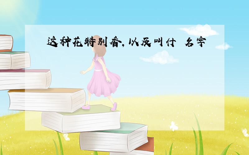 这种花特别香,以及叫什麼名字