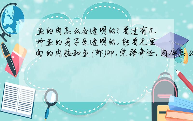 鱼的肉怎么会透明的?看过有几种鱼的身子是透明的,能看见里面的内脏和鱼（虾）卵,觉得奇怪,肉体怎么会透明的呢?它不是由肌肉