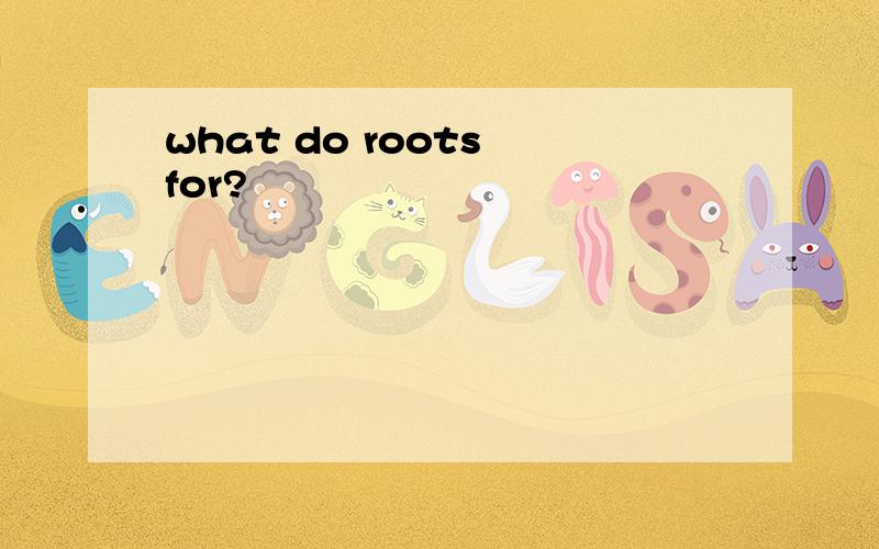 what do roots for?