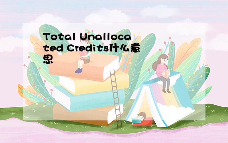 Total Unallocated Credits什么意思