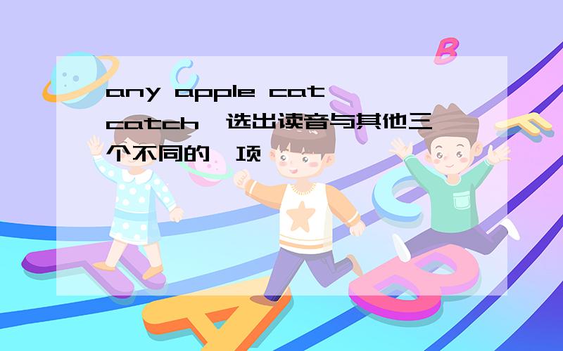 any apple cat catch【选出读音与其他三个不同的一项】