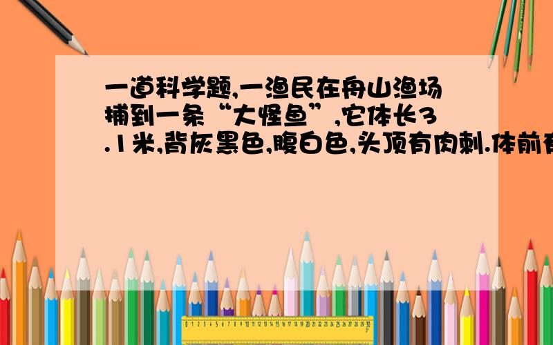 一道科学题,一渔民在舟山渔场捕到一条“大怪鱼”,它体长3.1米,背灰黑色,腹白色,头顶有肉刺.体前有一对鳍肢,尾鳍水平伏