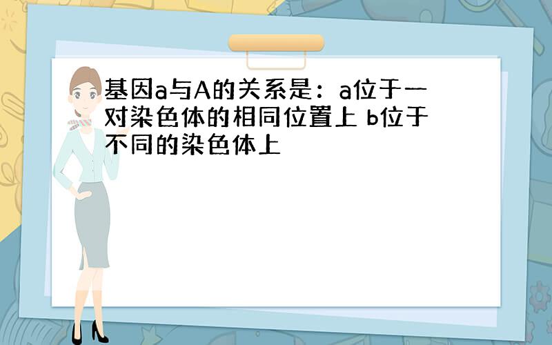 基因a与A的关系是：a位于一对染色体的相同位置上 b位于不同的染色体上