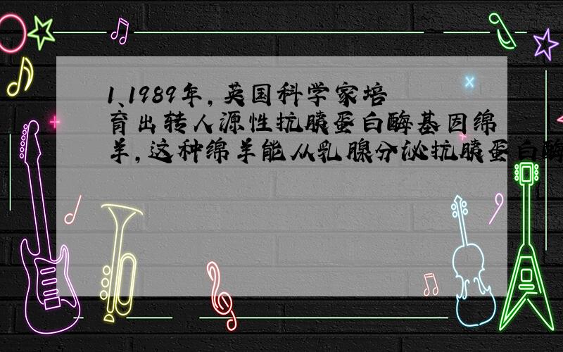 1、1989年,英国科学家培育出转人源性抗胰蛋白酶基因绵羊,这种绵羊能从乳腺分泌抗胰蛋白酶,含量高达每升乳汁35g.从乳