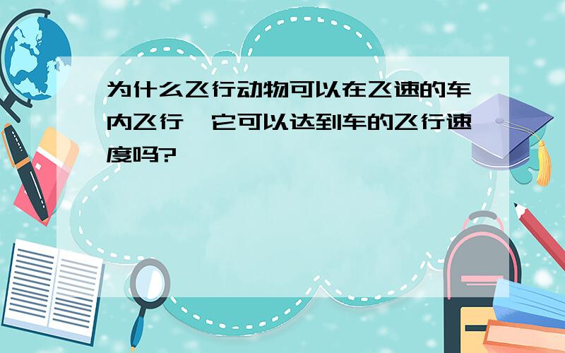 为什么飞行动物可以在飞速的车内飞行,它可以达到车的飞行速度吗?