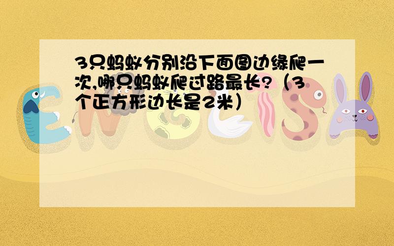 3只蚂蚁分别沿下面图边缘爬一次,哪只蚂蚁爬过路最长?（3个正方形边长是2米）