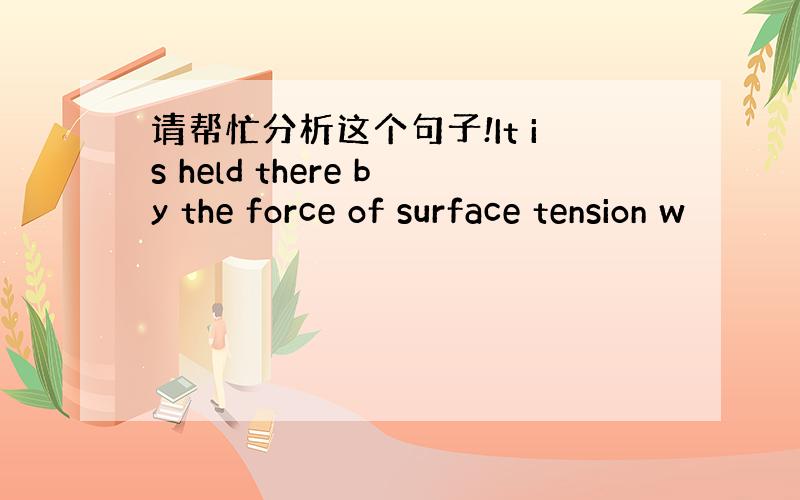 请帮忙分析这个句子!It is held there by the force of surface tension w