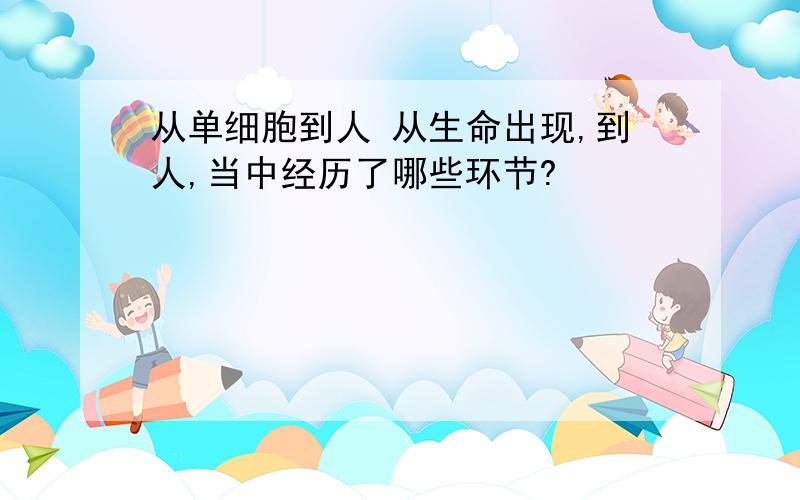 从单细胞到人 从生命出现,到人,当中经历了哪些环节?