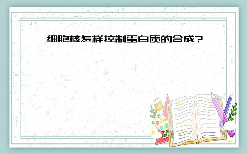 细胞核怎样控制蛋白质的合成?