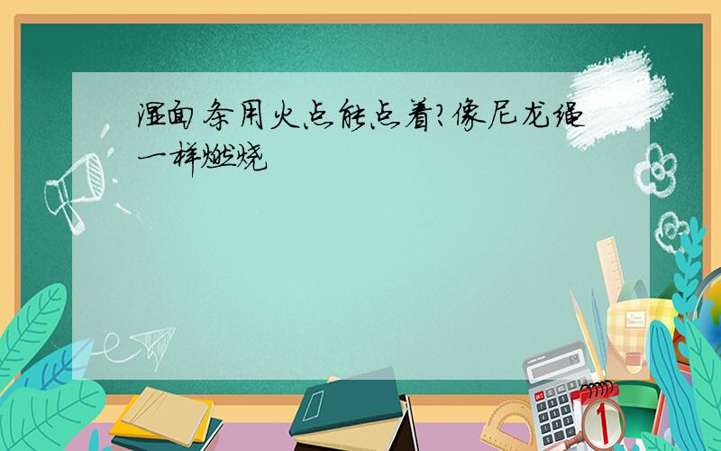 湿面条用火点能点着?像尼龙绳一样燃烧