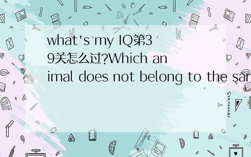 what's my IQ第39关怎么过?Which animal does not belong to the same