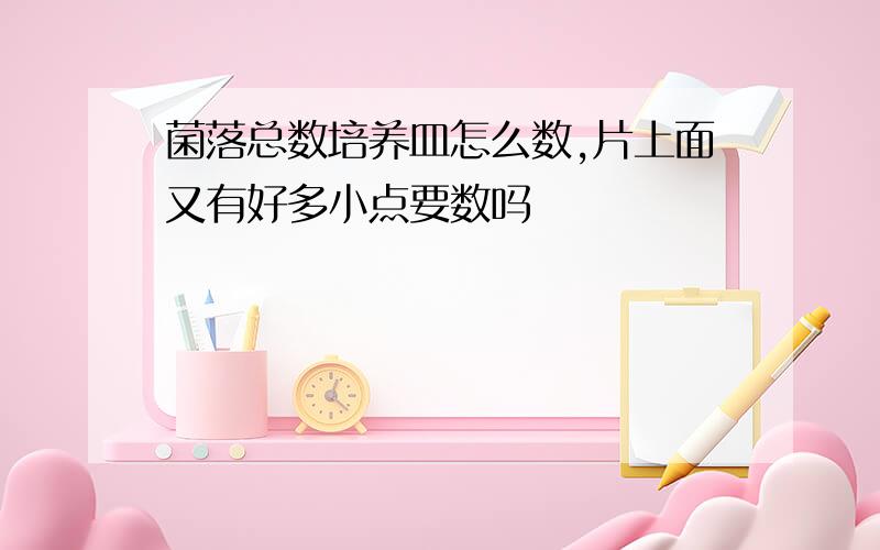 菌落总数培养皿怎么数,片上面又有好多小点要数吗