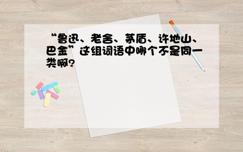 “鲁迅、老舍、茅盾、许地山、巴金”这组词语中哪个不是同一类啊?