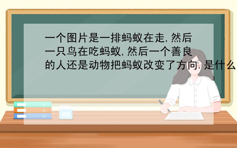 一个图片是一排蚂蚁在走,然后一只鸟在吃蚂蚁,然后一个善良的人还是动物把蚂蚁改变了方向.是什么动画片?